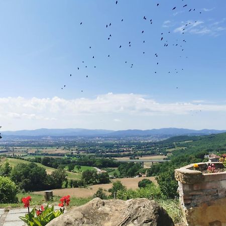 Al Podere Del Nonno Romolo Sansepolcro Ngoại thất bức ảnh