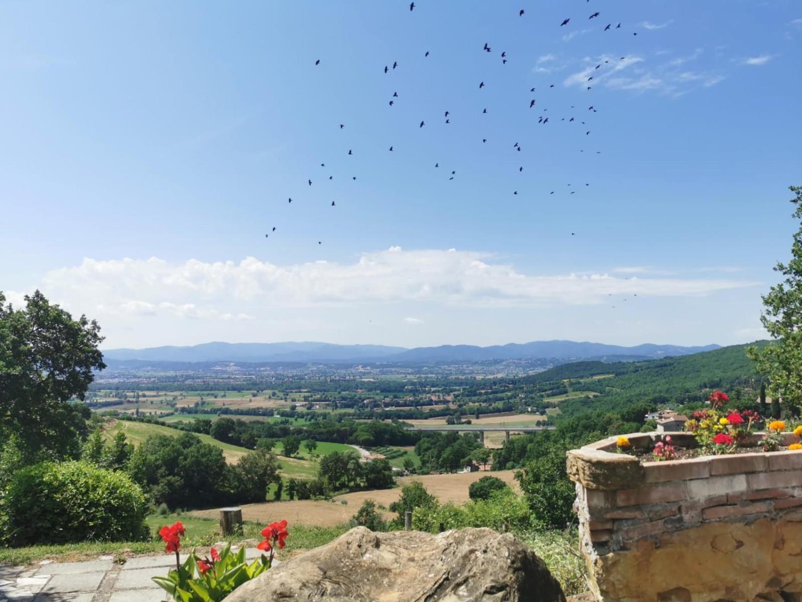 Al Podere Del Nonno Romolo Sansepolcro Ngoại thất bức ảnh